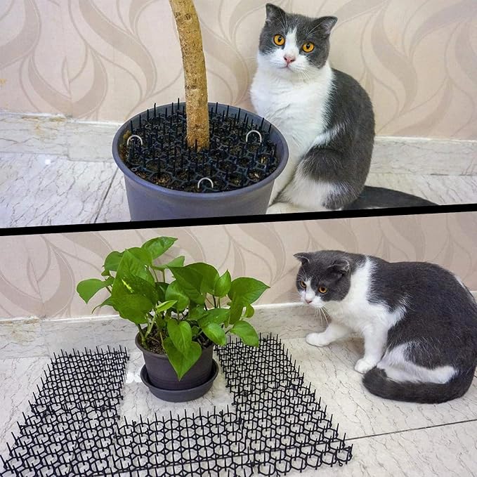 TSLBW 6.2 * 8 Inch 12 Pcs Cat Scat Mat with SpikesCat Repellent Mat with Spikes Pet Deterrent Net Anti Cat Mat Gardening Plastic Cat Scat Mat with 8 U-Shaped Pegs Wild Animal Garden Plants