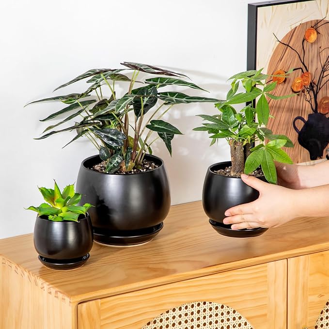vancasso 3-Pack Ceramic Plant Pots, 3.7/4.8/6.2 Inch Indoor Planters with Saucers & Drainage Hole Planter pots for Indoor Plants and Flower, Black