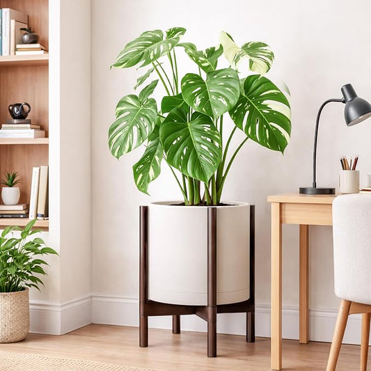 D'vine Dev Plastic Pot with Walnut Wood Stand, Oatmeal, 14 in, 55-C-R-3 | Mid-Century Inspired Design, Elevated Plant Display, Clean Lines, Sturdy Support, Modern Space-Saving Style