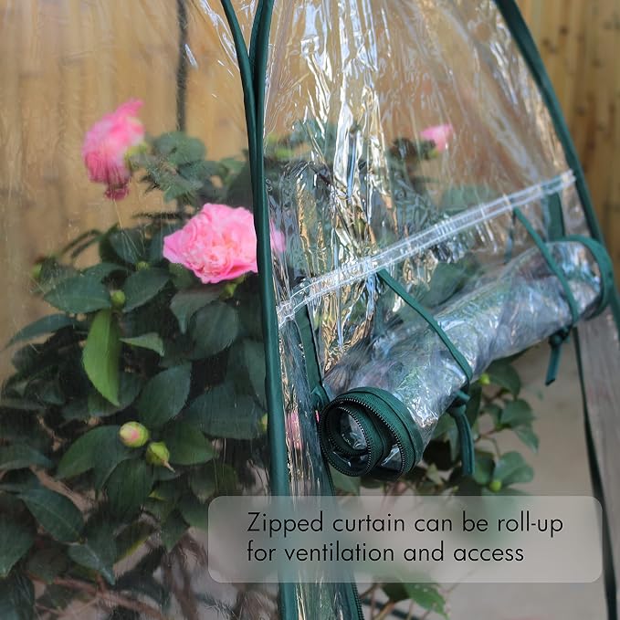 Gardzen 2-Pack 27"x27"x31" Pop up Grow Greenhouse Small Greenhouse, Steel Frame Portable Plant Flowers Mini Green House Zipper Cover for Outdoor & Indoor Use