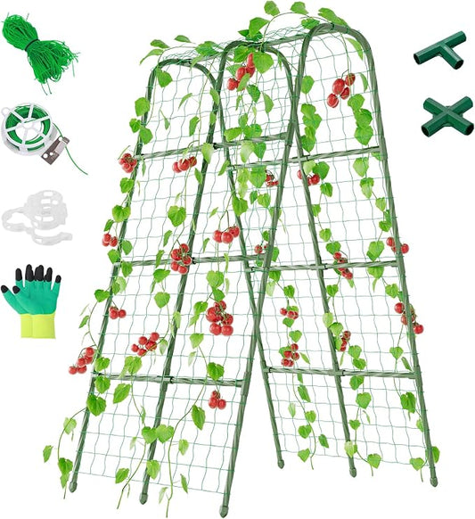 Miory Cucumber Trellis for Raised Bed, Garden Arch Trellis for Climbing Plants Outdoor, Steel with Plastic Coated Plant Support for Vines with Plastic Connector Nylon Netting (32" Lx32 Wx63 H)