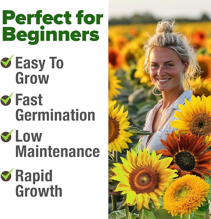 HOME GROWN Sunflower Seeds Mix Pack 1,500+ 9 Colorful Varieties of Sun Flower Seeds to Plant - 2-10ft Tall Plants, Pollinator Friendly, Easy to Grow, High Germination