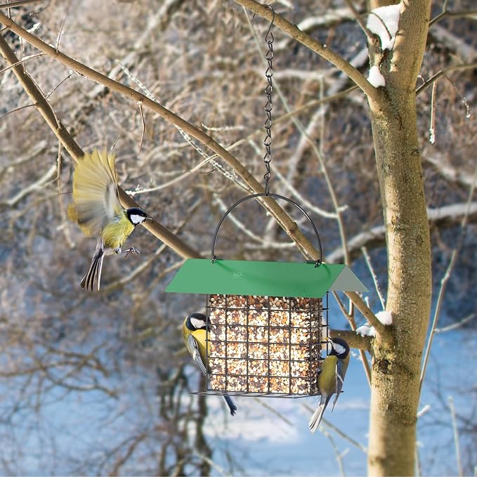 Bird Feeder for Outdoors, Squirrel Proof Suet Feeder for Outside Hanging | Adjustable Chain Hanging for Garden Yard Outside - Suet Cake Feeders Squirrel Proof Birdfeeder
