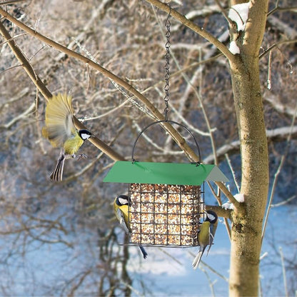 Bird Feeder for Outdoors, Squirrel Proof Suet Feeder for Outside Hanging | Adjustable Chain Hanging for Garden Yard Outside - Suet Cake Feeders Squirrel Proof Birdfeeder