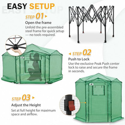 EAGLE PEAK 6.6x6.6 Portable Walk in Greenhouse, Pop Up Indoor Outdoor Greenhouse, Green House Kit with Zippered Roll-Up Doors and Windows, Hexagon Design, PE Cover, Clear/Green
