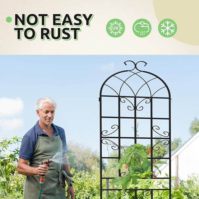 4-Pack 87" x 20" Butterfly Arch Black Metal Garden Trellises | Four rust-resistant metal trellises with butterfly arches, scrollwork, stakes, and support for roses, vines, or vegetables