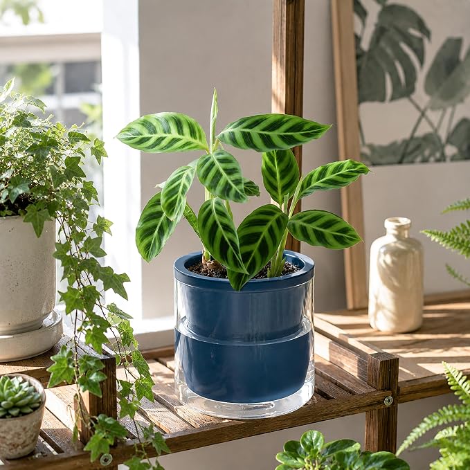 D'vine Dev 6 Inch Design Self Watering Planter for Indoor Plants, Blue Terracotta Pot with Cylinder Glass Cup, 37-X-B-4