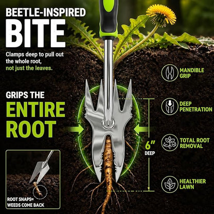 Weed Puller Tool, 2-in-1 Hand Weeder and Root Remover, Heavy Duty Stainless Steel Weeding Tool for Deep Roots, Ergonomic Garden Weed Pulling Tool for Lawn and Yard - Green