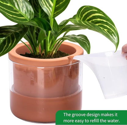 Phoenix Vine 8 Inch Self Watering Planter, Design Terracotta Pot for Plants, Indoor Cylinder Terra Cotta Pot with Glass Vase, Set of 1, 51-A-H-1