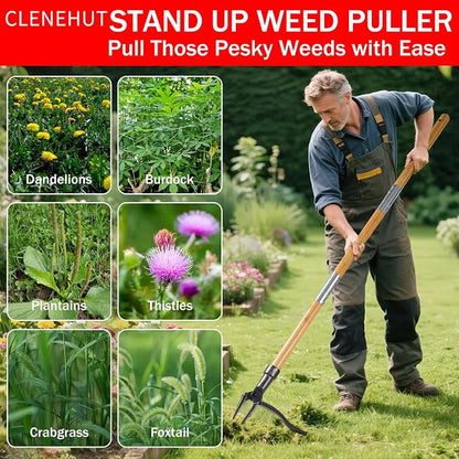 Weeder - Stand Up Weed Puller Tool Made with Long Handle - Real Bamboo & 4-Claw Steel Head, Easily Remove Weeds Without Bending, Pulling, or Kneeling.
