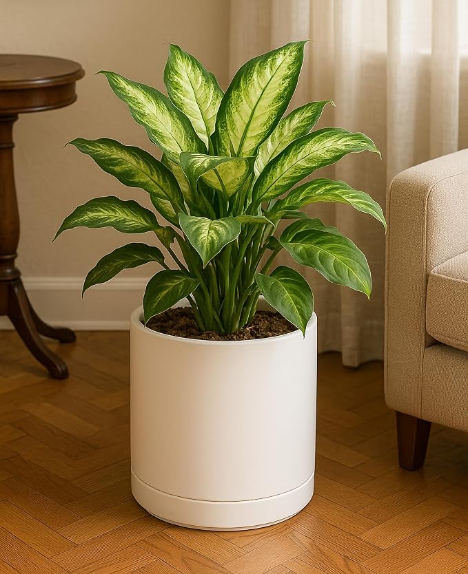 D'vine Dev 10 Inch Ceramic Planter Pot, Oatmeal, 94-O-E-8 | Modern Cylinder Design, Drainage Hole & Saucer Included, Stable Structure, Elegant Home Accent