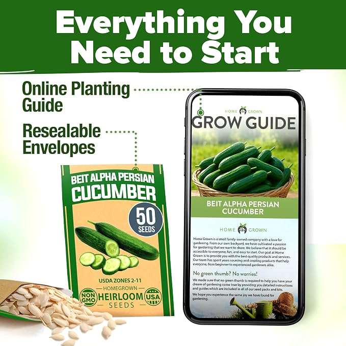 HOME GROWN Persian Cucumber Seeds 50+ Heirloom Non-GMO, Beit Alpha Variety, High Germination, Sweet Thin Skin, Burpless Snacking Cucumbers, Fast Growing, Indoor Outdoor Garden Crop (Cucumis sativus)