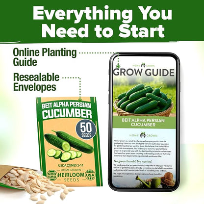 HOME GROWN Persian Cucumber Seeds 50+ Heirloom Non-GMO, Beit Alpha Variety, High Germination, Sweet Thin Skin, Burpless Snacking Cucumbers, Fast Growing, Indoor Outdoor Garden Crop (Cucumis sativus)