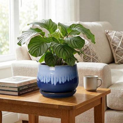 Ceramic Pots for Plants - 9 Inch Indoor Planter with Drainage Hole and Saucer, Decorative Plant Pots for Indoor Plants, Round Ceramic Flower Pot, Home Vanity Decor, Garden Gifts, Deep Blue