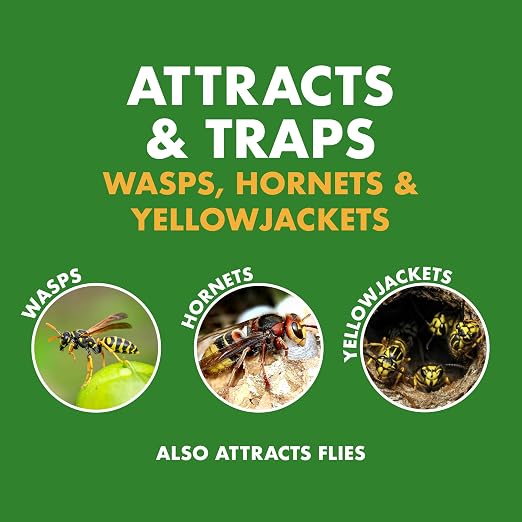 Spectracide Wasp & Hornet Trap Refill, Lure Refill for Spectracide Wasp & Hornet Trap, 1 Count