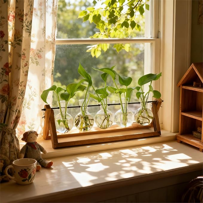 Renmxj Plant Propagation Stations with Wooden Stand & 5 Glass Bulb Vases | Plant Terrarium for Indoor Plants, Home Office Desk Decor, Gardening Gifts for Women Mom, Birthday Gifts for Plants Lovers