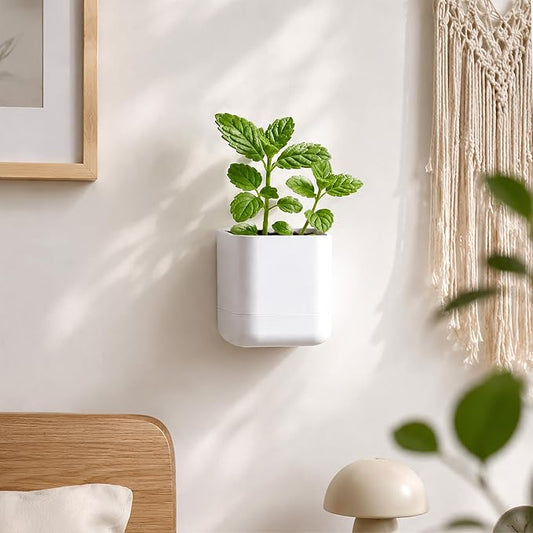 Phoenix Vine 3.5 Inch Wall Mounted Self-Watering Planter Pot for Indoor Houseplants and Herbs | Hanging Planter for Window Sills, Bathroom Walls, Home & Office Décor, White, Set of 1, 01-A-D-1