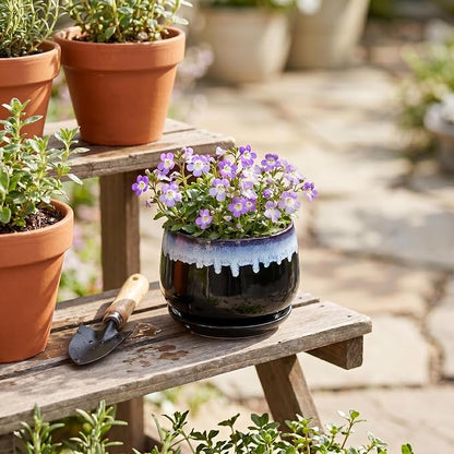 Ceramic Planter 4 Inch - Small Pots for Plants with Drainage and Saucer, Round Flower Pot for Indoor Plants, Ceramic Succulent Pots, Room Home Decor, Plant Lover Gifts for Women, Black-Blue