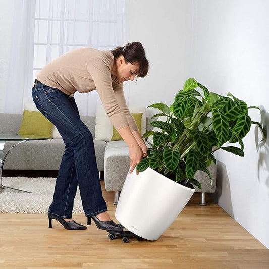 Lechuza Classico LS 43 Black High Gloss, Self-Watering Round Planter, D16.9 H15.7 in