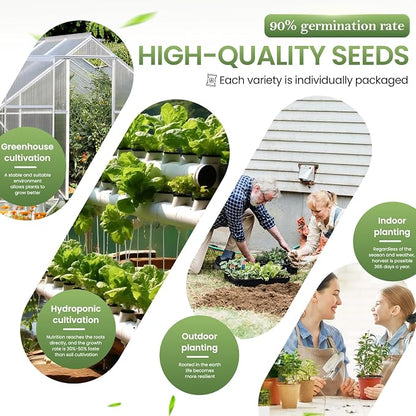 36 Vegetable Variety Pack - 17,600+ Non-GMO Heirloom Seeds for Planting Vegetables and Herbs, 36 Individually Packed Seed Packets for Indoor, Outdoor, Greenhouse & Hydroponic Gardening