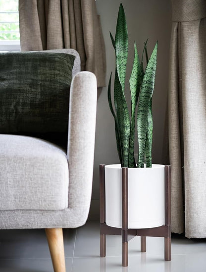 D'vine Dev Plastic Pot with Walnut Wood Stand, White, 10 in, 55-C-L-1 | Mid-Century Inspired Design, Elevated Plant Display, Clean Lines, Sturdy Support, Modern Space-Saving Style
