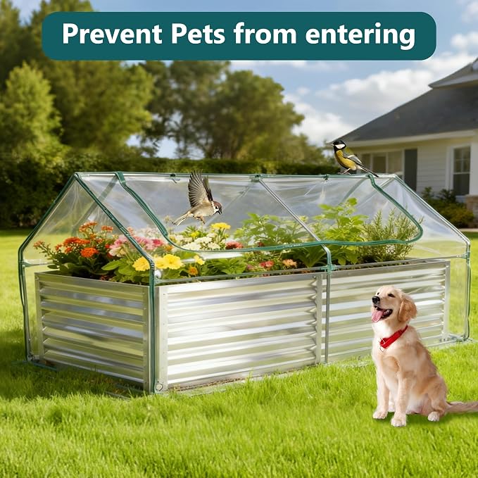 DUMOS Galvanized Raised Garden Bed with Cover, 6x3x2ft Metal Planter Box Outdoor for Deep-Rooted Vegetables Flowers Herbs, Garden Bed Mini Greenhouse for Patio Balcony Backyard, Open Bottom, Clear