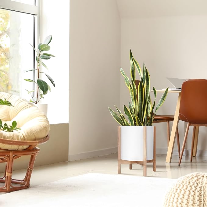 D'vine Dev Plastic Pot with Natural Wood Stand, White, 14 in, 55-C-S-1 | Mid-Century Inspired Design, Elevated Plant Display, Clean Lines, Sturdy Support, Modern Space-Saving Style