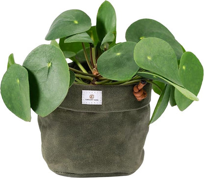 Waxed Canvas Handmade Hanging Planter for Indoor/Outdoor Plants, Hanging Basket Plant Holder Forest Green with Hook