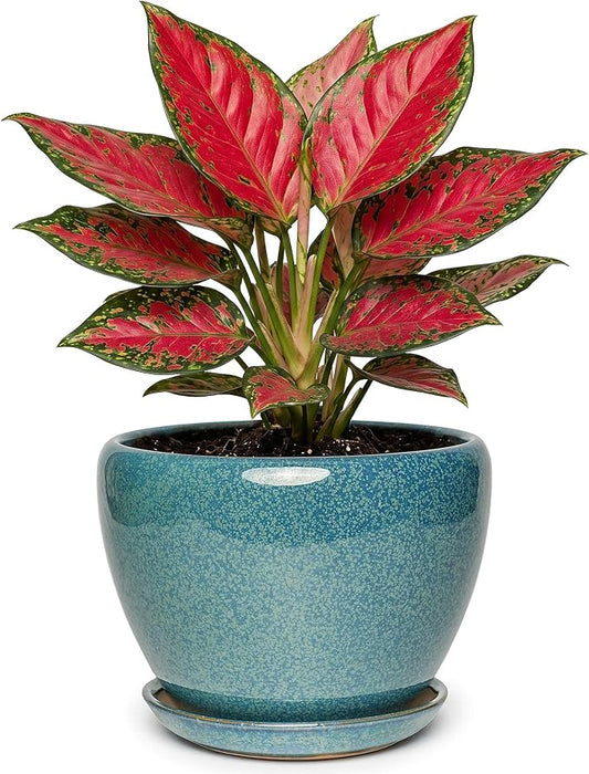 7.5 Inch Ceramic Plant Pot with Drainage Hole Mesh Net,Modern Gardening Pots for Indoor Plants with Saucer, Crackle Blue