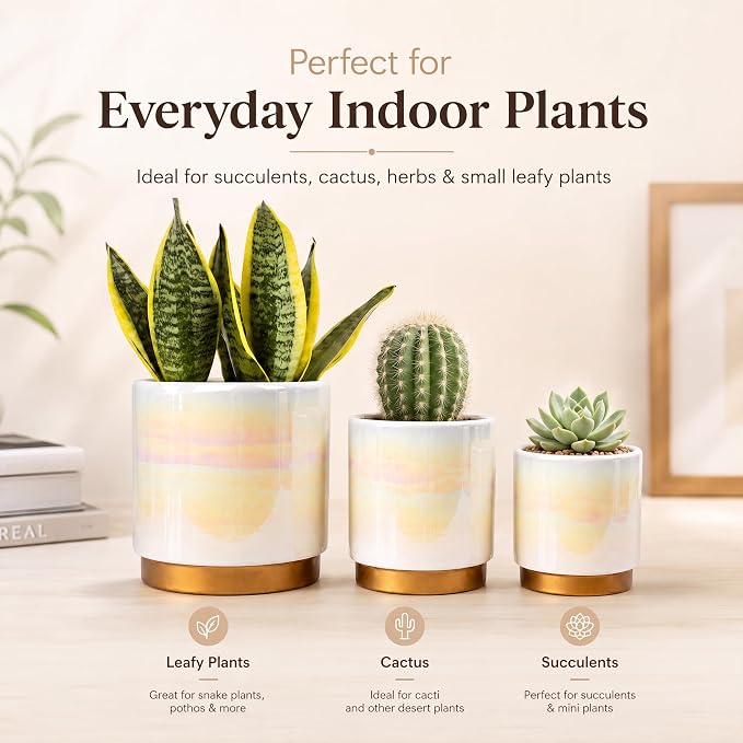 Gepege White Indoor Pots for Plants, Ceramic Planter with Drainage Hole, 6.0 inch+5.0 Inch+4.0 Inch. Succulent Orchid Flower Pot - Rainbow Pearl Glaze