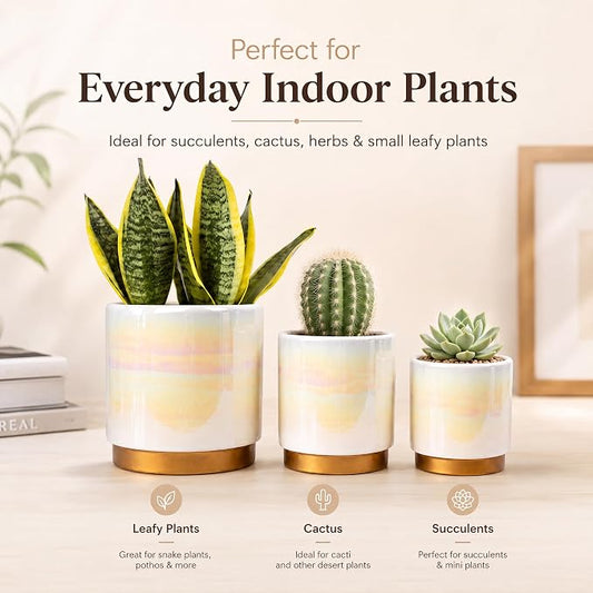 Gepege White Indoor Pots for Plants, Ceramic Planter with Drainage Hole, 6.0 inch+5.0 Inch+4.0 Inch. Succulent Orchid Flower Pot - Rainbow Pearl Glaze
