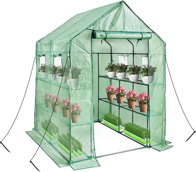 Walk in Greenhouse with Shelves,Plastic Growhouse Frame for Garden,12 Tiers Green House with Reinforced PE Cover and 4 Windows,56" L x 56" W x 77" H,for Indoor Outdoor Seeding and Plant Growing