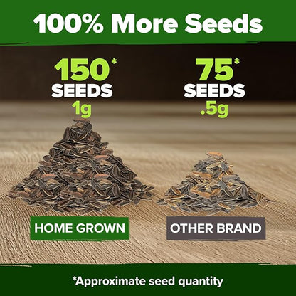 HOME GROWN Will Rogers Zinnia Seeds - 150 Zinnia Flower Seeds for Planting Outdoors - Tall Zinnia Elegans Cut Flowers - Heirloom Non-GMO Zinnia Seeds for 2026