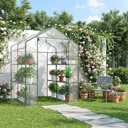 OLIXIS Outdoor Greenhouse, Walk-in Greenhouse with 2 Tier 8 Plant Shelves, Durable PVC Cover, 56"x56"x77" Portable Greenhouses for Outdoor Garden, Patio, Porch, Backyard Green Houses, Clear
