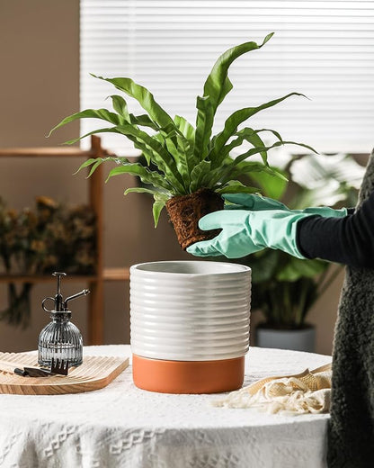 Self Watering Plant Pot : 8 Inch Ceramic Planter with Drainage Hole & Water Storage Plus - Flowerpot for Indoor & Outdoor Plants (Cream White & Red-Brown)