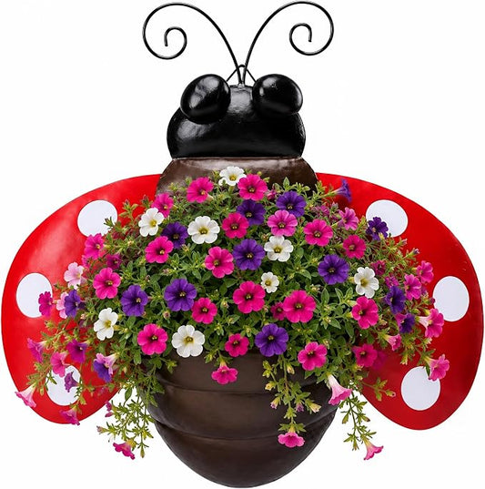 Ladybug Metal Wall Planter, Wall Mount Hanging Succulent Pot with Drainage | Cute farmhouse ladybug wall mount pot with drainage hole, garden decor for yard, indoor & outdoor succulent wall container.