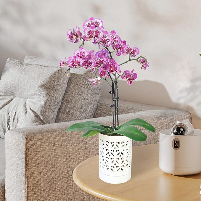 Orchid Pots with Holes,4 Inch Ceramic Orchid Pot for Repotting, Flower Planter Pot Indoor Outdoor, Breathable Slotted Orchids Planter White