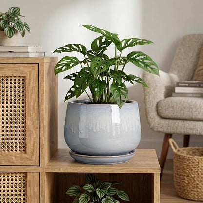 9 Inch Ceramic Pots for Plants - Indoor Plant Pots with Drainage and Saucer, Decorative Planters for Indoor Plants, Round Large Flower Pot, Rustic Home Decor, Housewarming Gifts, Grey-White