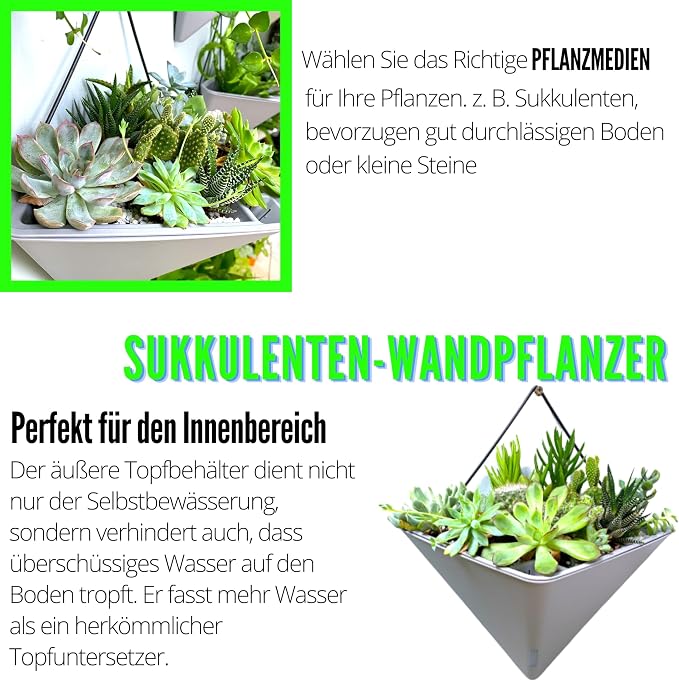 LaLaGreen Succulent Wall Planters (12in, 2 Pack) Large Self Watering Pots | Wall Hanging Planters for Indoor Plants Gray Wall Mount Triangle Geometric Flower Vase Black Metal Hanger Living Wall Decor