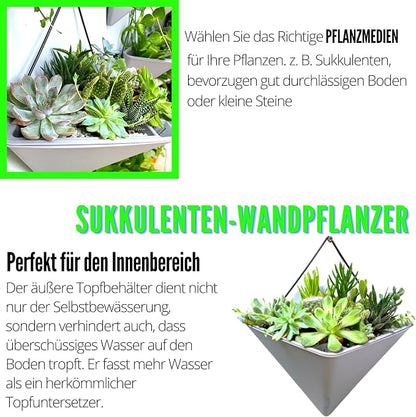 LaLaGreen Succulent Wall Planters (12in, 2 Pack) Large Self Watering Pots | Wall Hanging Planters for Indoor Plants Gray Wall Mount Triangle Geometric Flower Vase Black Metal Hanger Living Wall Decor