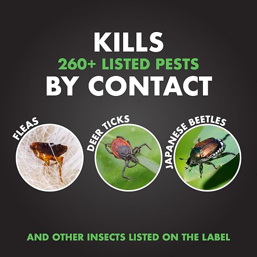 Spectracide Triazicide Insect Killer For Lawns & Landscapes Concentrate, Ready-to-Spray, 32-Ounce, 6-Pack