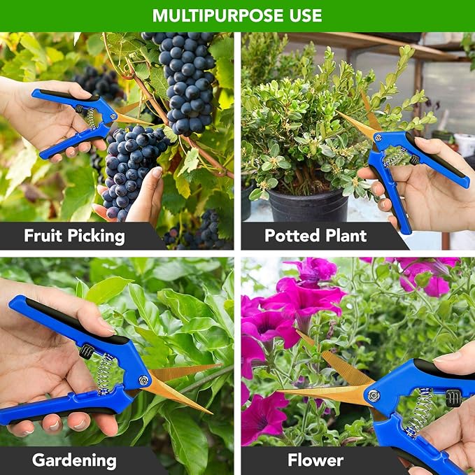 iPower GLPRNR6BLTIX2 2-Pack 6.5” Gardening Hand Pruner Shears with Titanium Coated Curved Precision Blades for Trimming House Plants, Blue