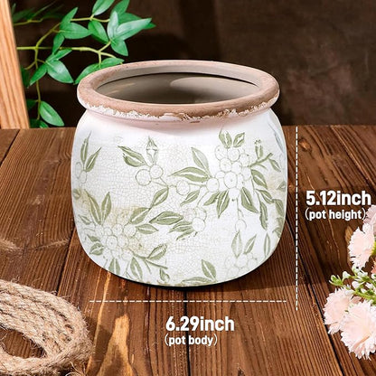 Dosayes Flower Pot,Vintage Ceramic Pot for Planter with Drainage Holes, 6.29 inch Ice Crack Glazed Indoor Planters Pot for Indoor,Tucan Home Decor,Gardening Gifts (Vintage)