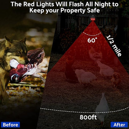 Solar Control Light Nocturnal Animal Repeller Outdoor Deterrent Devices Light Sensor Animal Repellent for Skunk Deer Coyote Fox Raccoon Cat Garden Yard Farm Chicken Coop (18, Black)