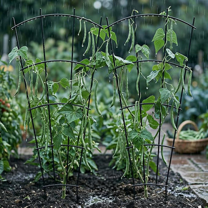Thealyn 4 Pack 43" Metal Plant Trellis for Pots & Garden Beds, Rustproof Support for Indoor Outdoor Climbing Plants, Vines, Flowers, Fan Shaped, Black
