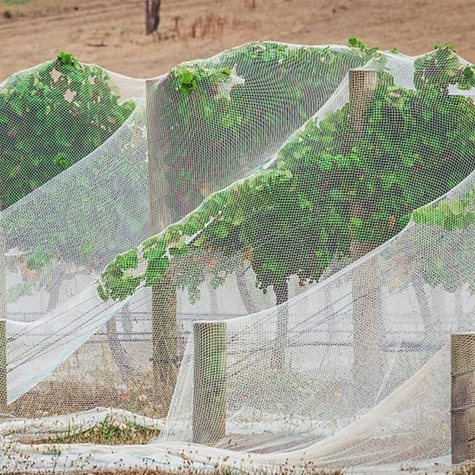 PURPLE STAR 1N 6 x 7 Feet Insect Bird Barrier Netting Mesh with Drawstring, Garden Bug Netting Plant Cover for Protect Plant Fruits Flower from Insect Bird Eating