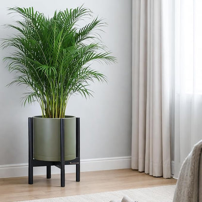 D'vine Dev Plastic Pot with Ebony Wood Stand, Olive, 12 in, 55-C-Q-3 | Mid-Century Inspired Design, Elevated Plant Display, Clean Lines, Sturdy Support, Modern Space-Saving Style