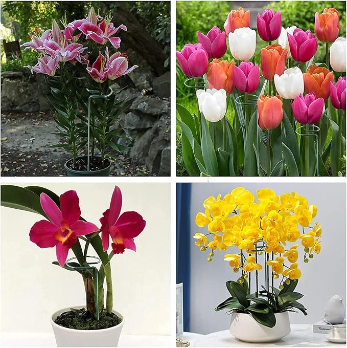 20 Pack 16 Inch Plant Support Stakes for Outdoor Plants and Indoor Flowers | Includes 24 Twist Ties, Sturdy metal, Rust-proof, Supports Hibiscus, Sunflower, Red Hot Poker, Hydrangea, Tomato, and more