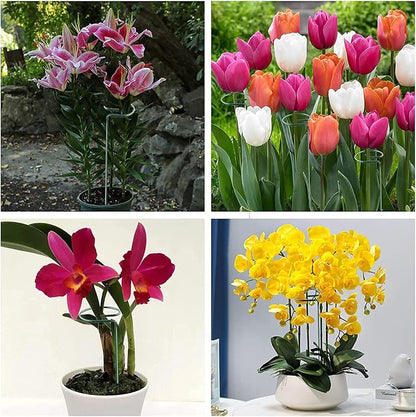 20 Pack 16 Inch Plant Support Stakes for Outdoor Plants and Indoor Flowers | Includes 24 Twist Ties, Sturdy metal, Rust-proof, Supports Hibiscus, Sunflower, Red Hot Poker, Hydrangea, Tomato, and more