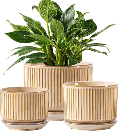 SURE YUESI Ceramic Plant Pots Set of 3, Indoor Outdoor Planters with Drainage Hole and Saucer, Ceramic Flower Pots for Indoor Plants, 4.3+5.5+6.8 Inch, Home, Garden, Patio and Office, Glossy Beige